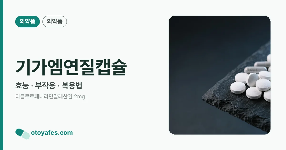 기가엠연질캡슐 정리 썸네일
