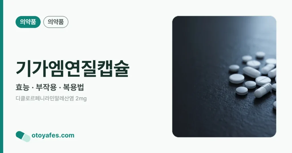 기가엠연질캡슐 정리 썸네일