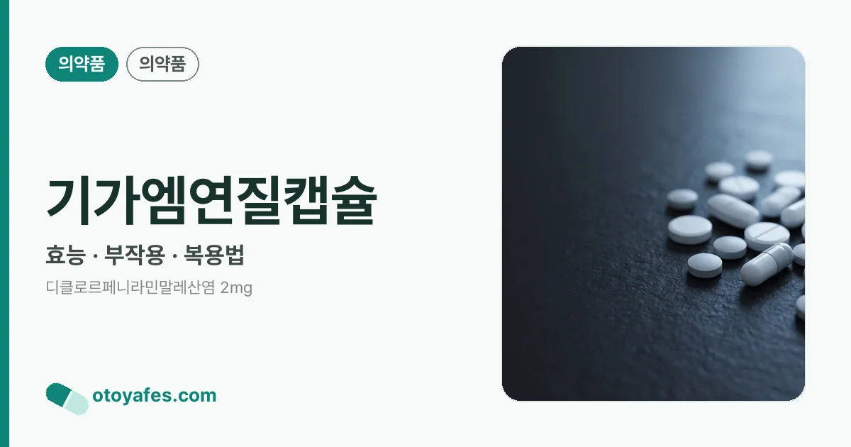 기가엠연질캡슐 정리 썸네일