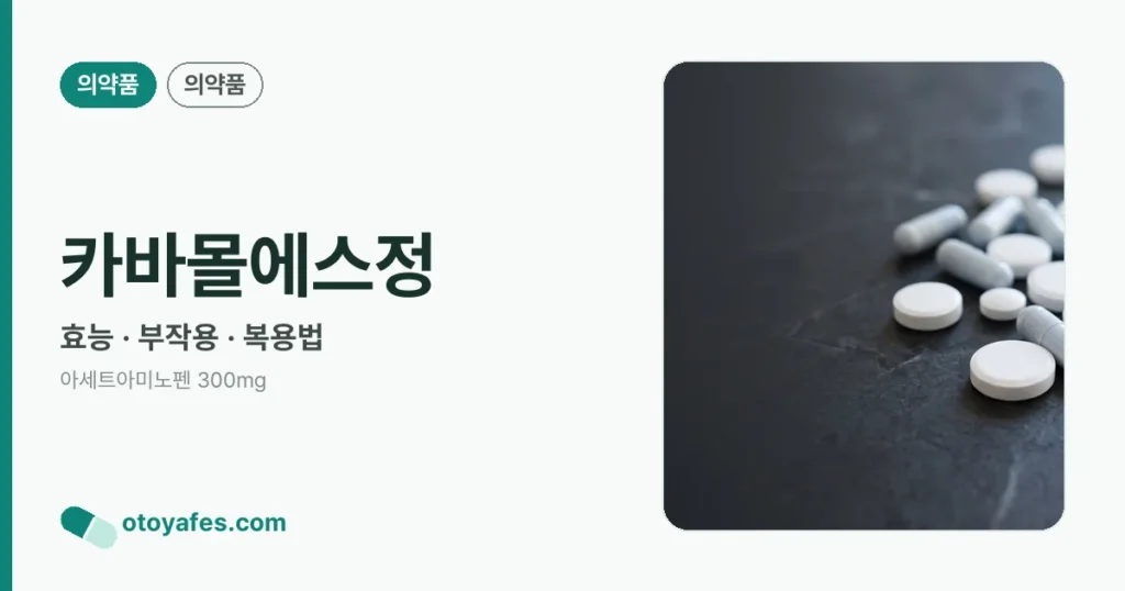 카바몰에스정 정리 썸네일