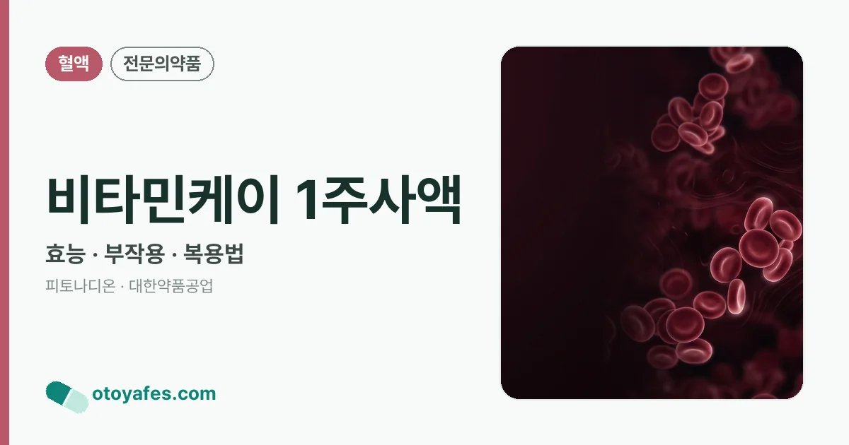 비타민케이 1주사액 정리 썸네일
