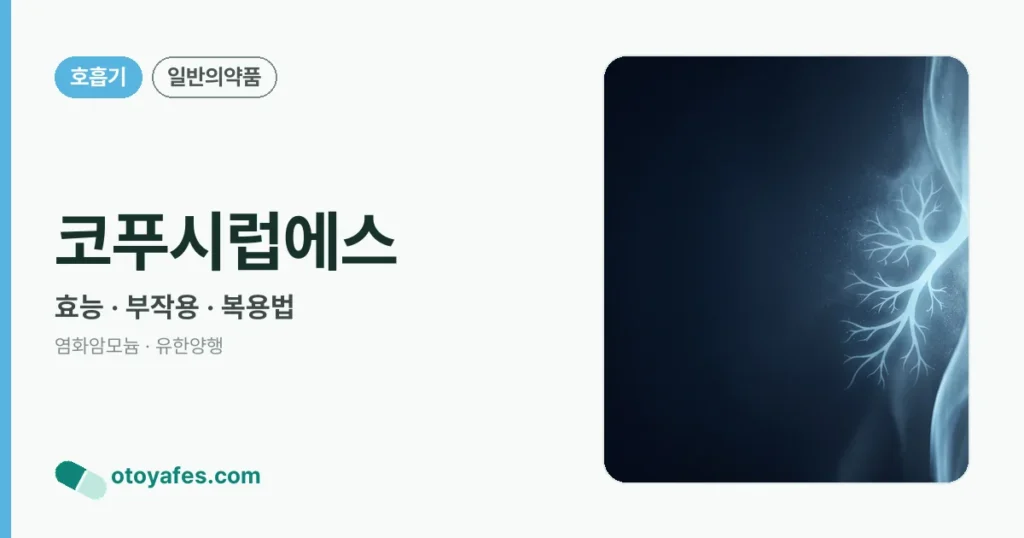 코푸시럽에스 정리 썸네일