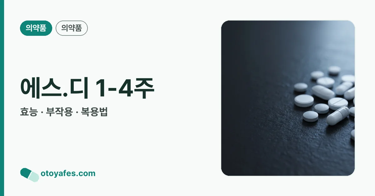 에스.디 1-4주 정리 썸네일