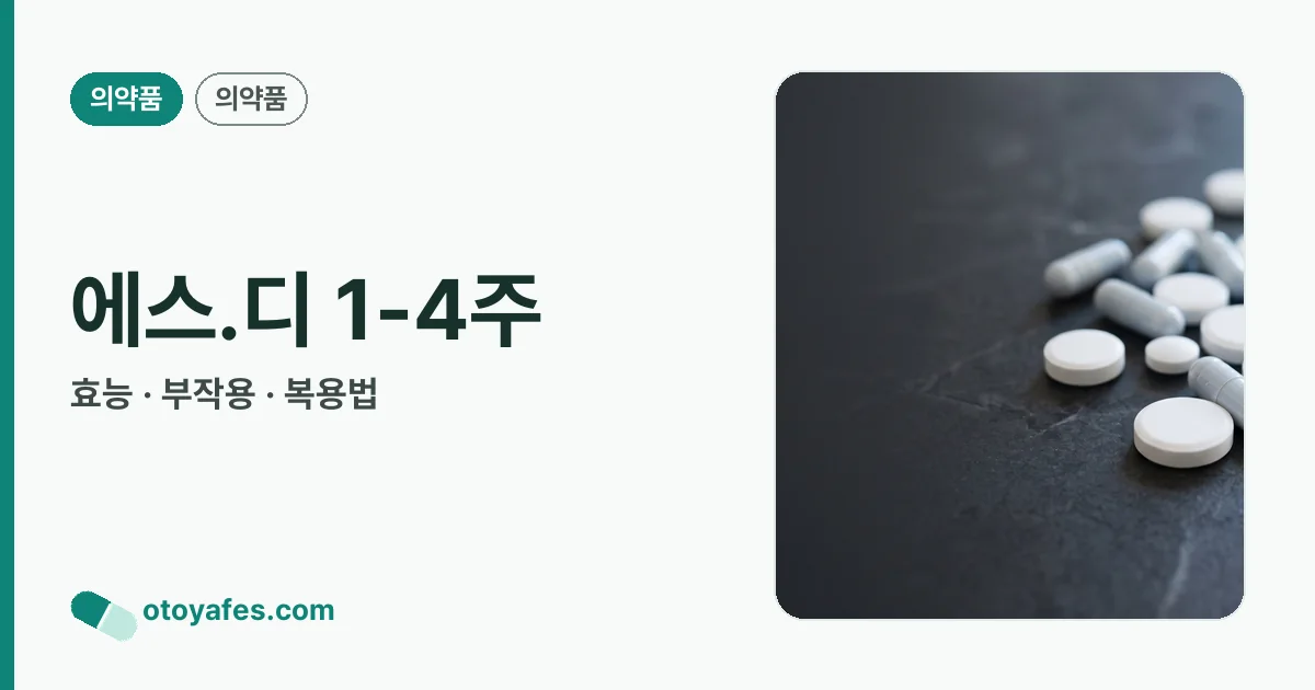 에스.디 1-4주 정리 썸네일