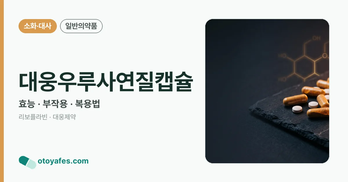 대웅우루사연질캡슐 정리 썸네일
