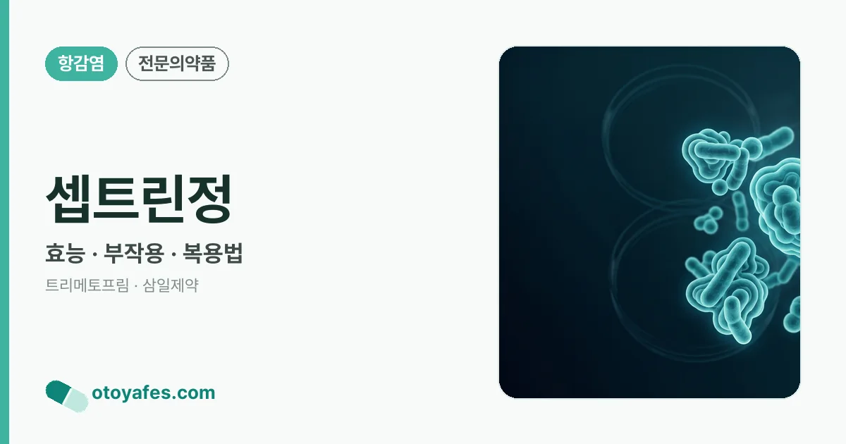 셉트린정 정리 썸네일