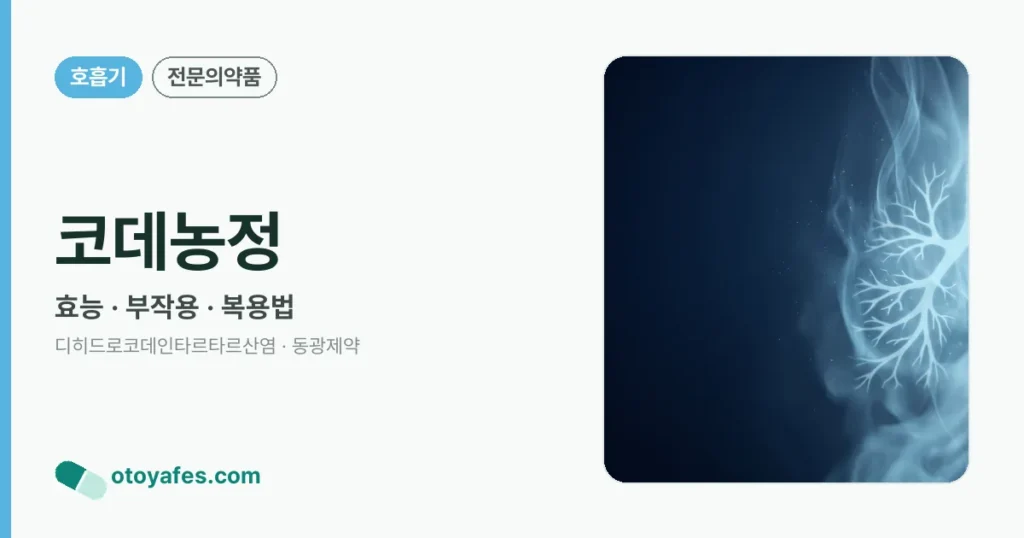 코데농정 정리 썸네일