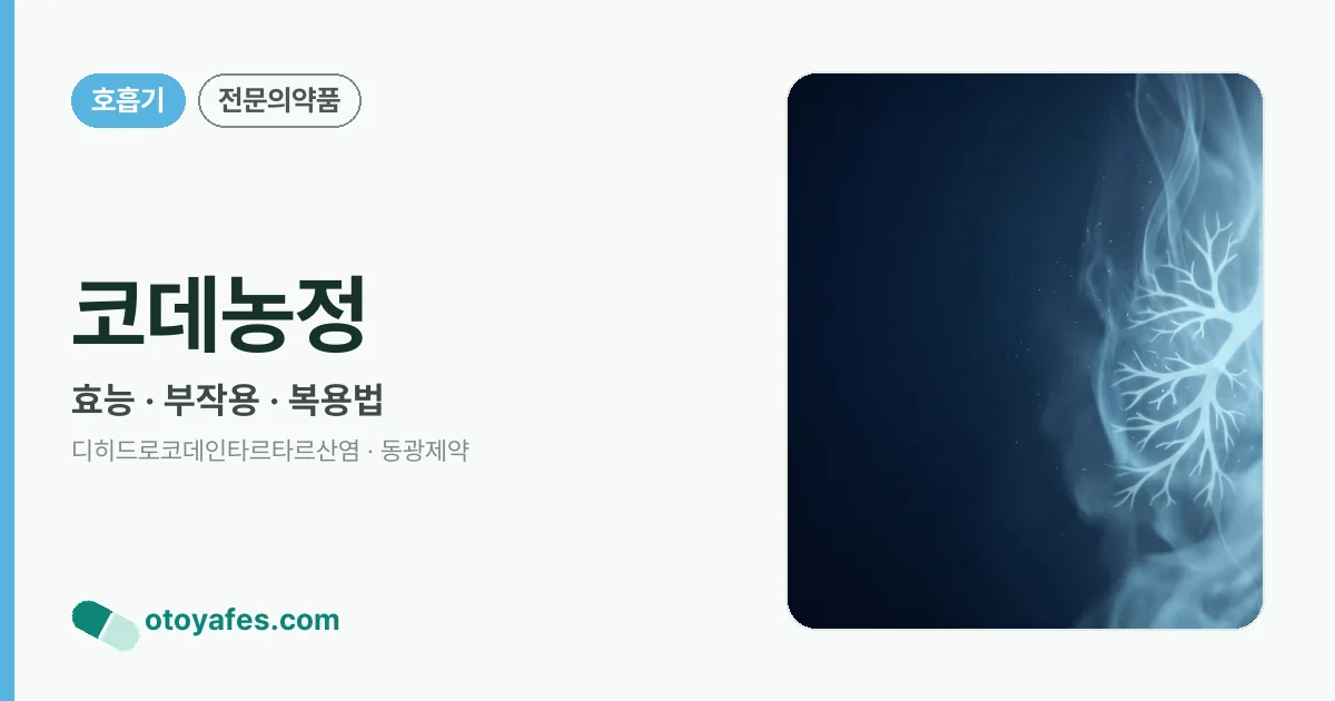 코데농정 정리 썸네일