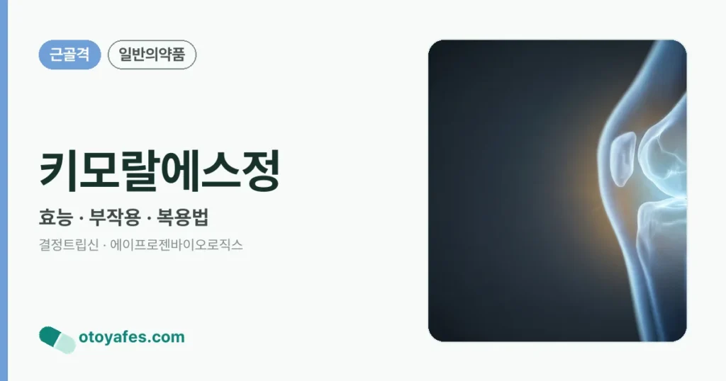키모랄에스정 정리 썸네일