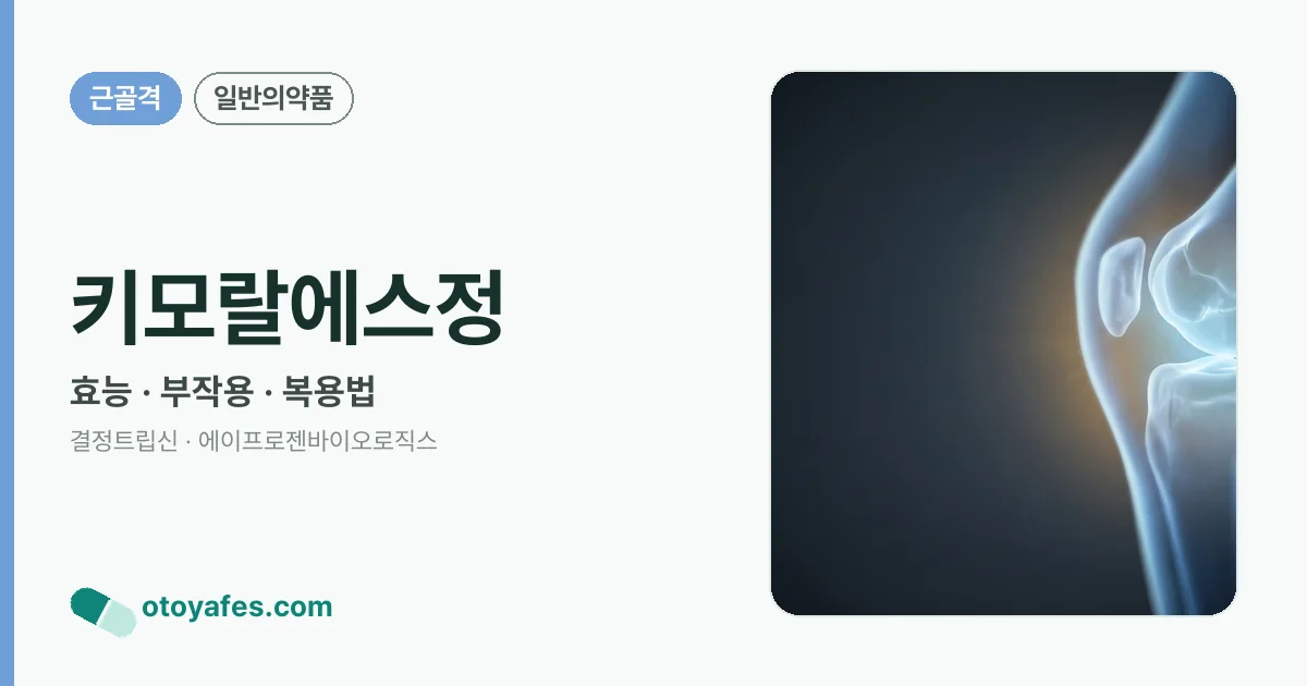 키모랄에스정 정리 썸네일