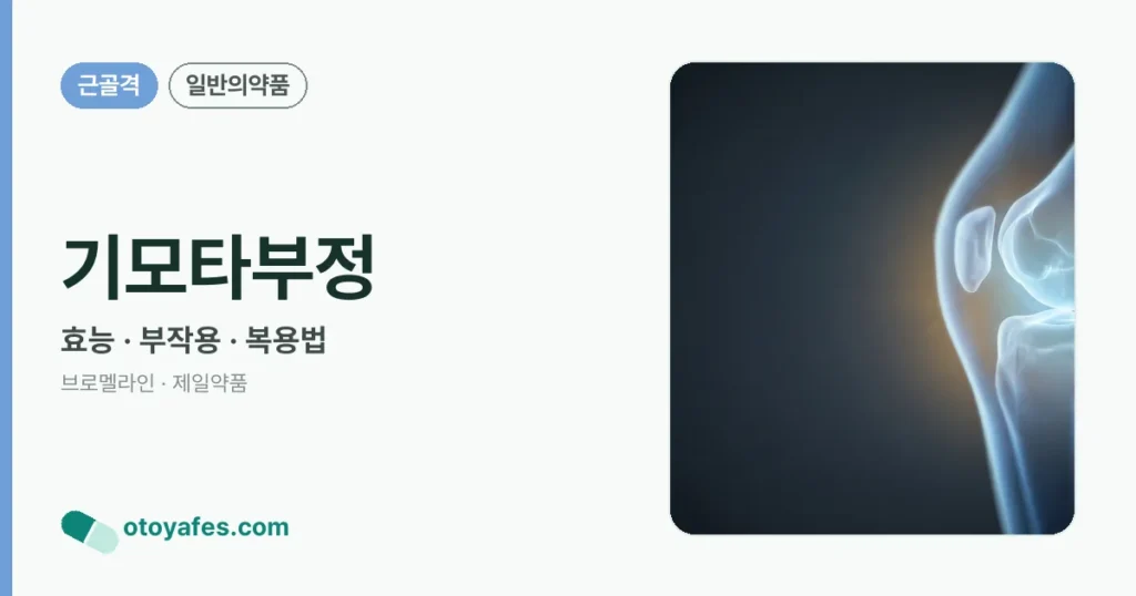 기모타부정 정리 썸네일