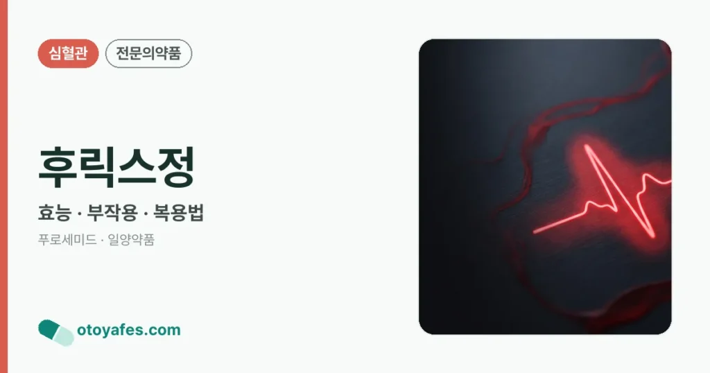 후릭스정 정리 썸네일