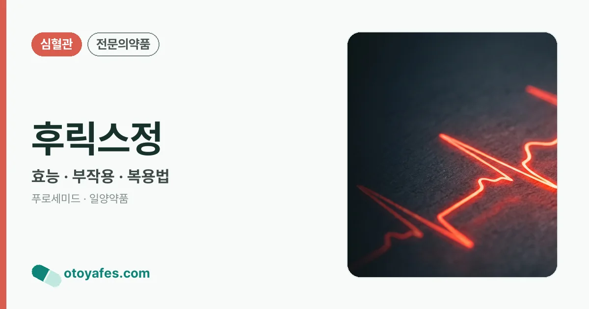 후릭스정 정리 썸네일