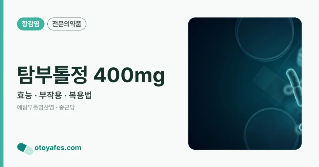 탐부톨정 400mg 정리 썸네일