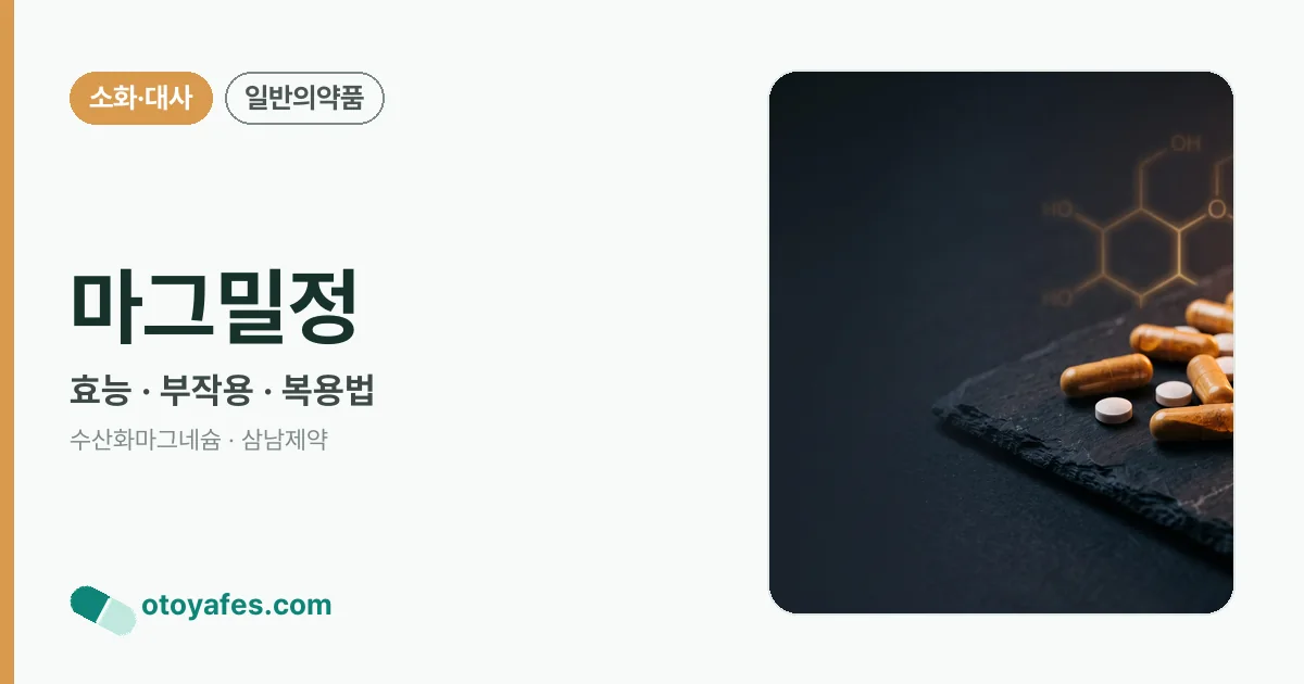 마그밀정 정리 썸네일