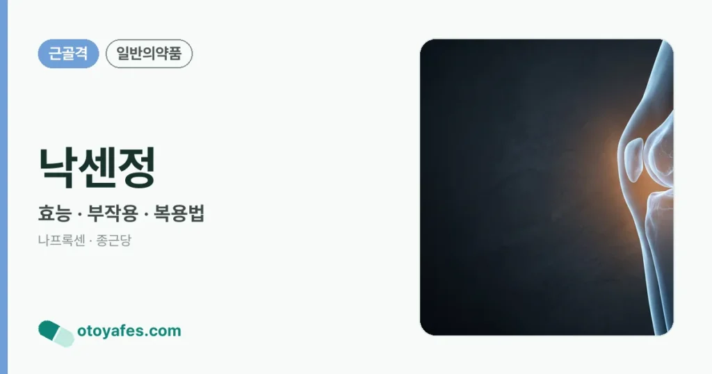 낙센정 정리 썸네일