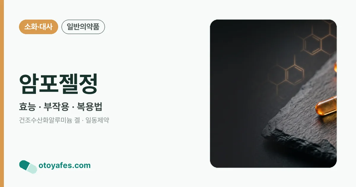 암포젤정 정리 썸네일