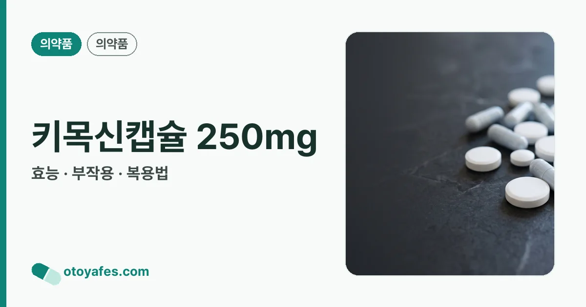 키목신캡슐 250mg 정리 썸네일