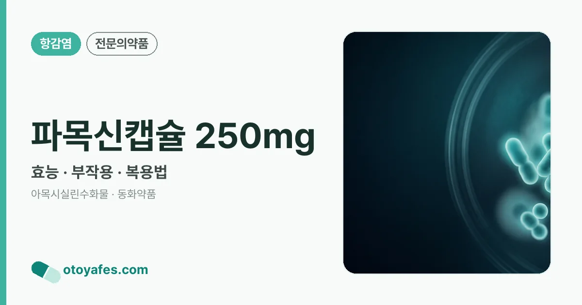파목신캡슐 250mg 정리 썸네일