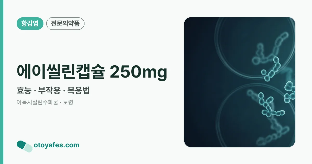 에이씰린캡슐 250mg 정리 썸네일