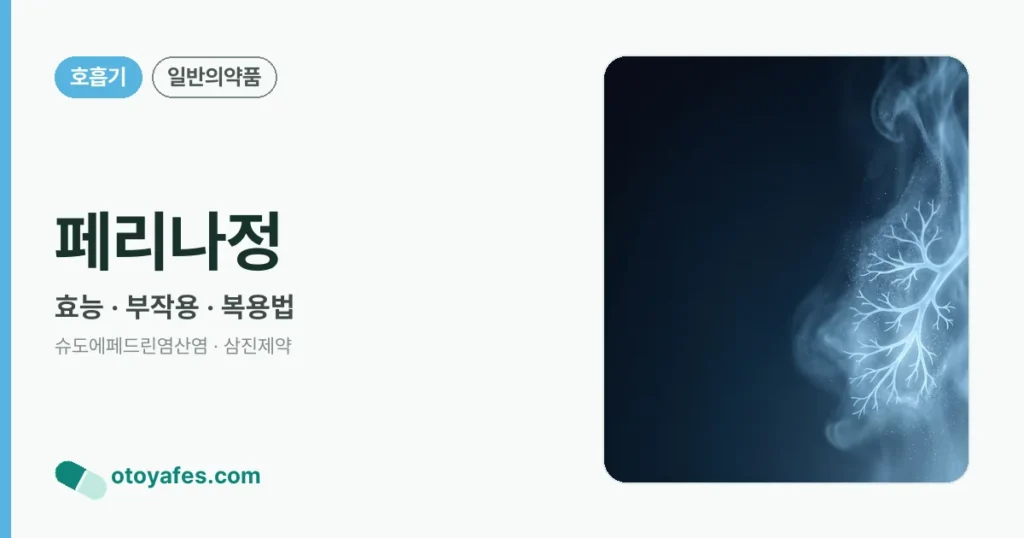 페리나정 정리 썸네일