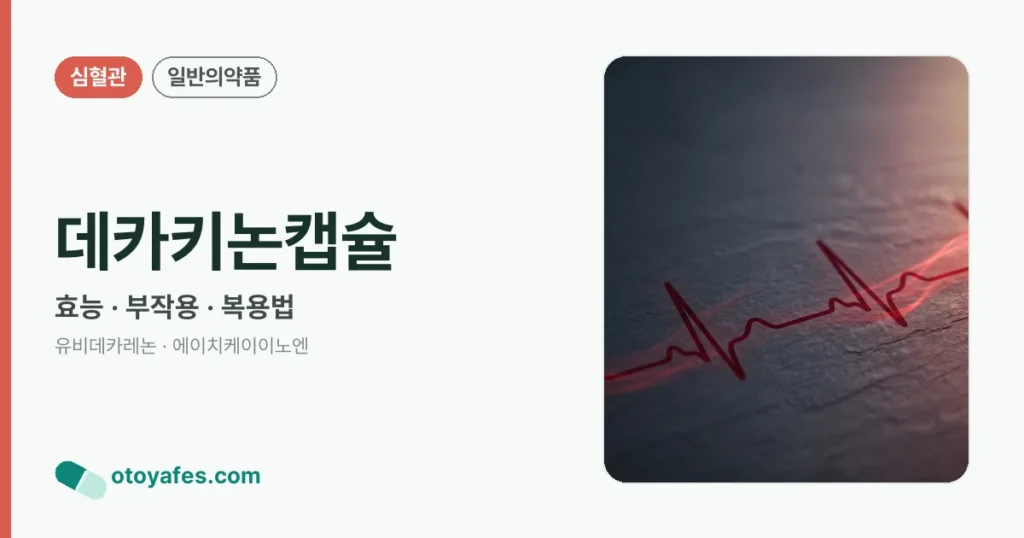 데카키논캡슐 정리 썸네일