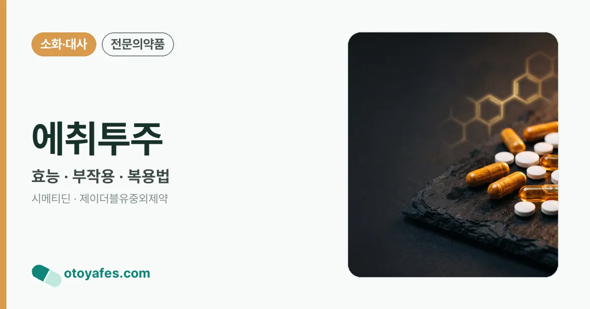 에취투주 정리 썸네일