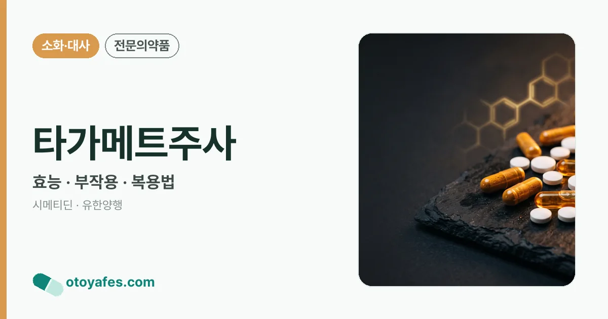 타가메트주사 정리 썸네일
