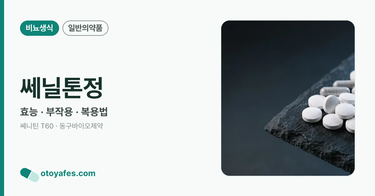 쎄닐톤정 정리 썸네일