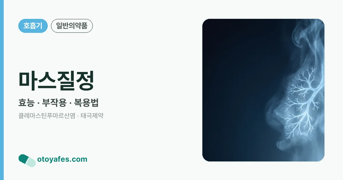 마스질정 정리 썸네일