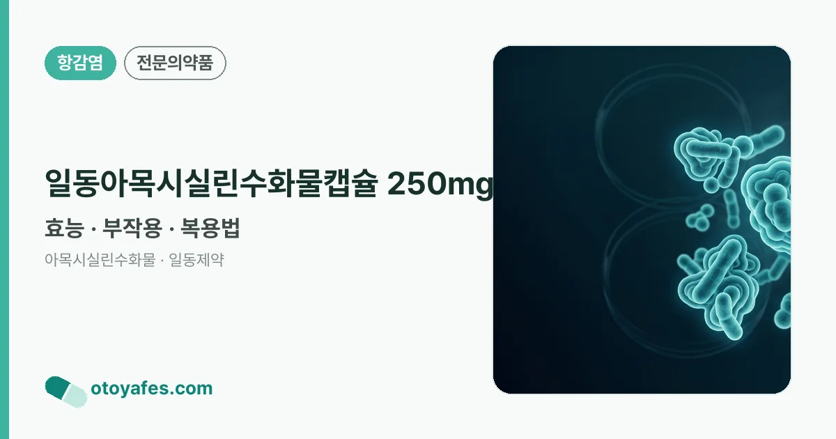일동아목시실린수화물캡슐 250mg 정리 썸네일