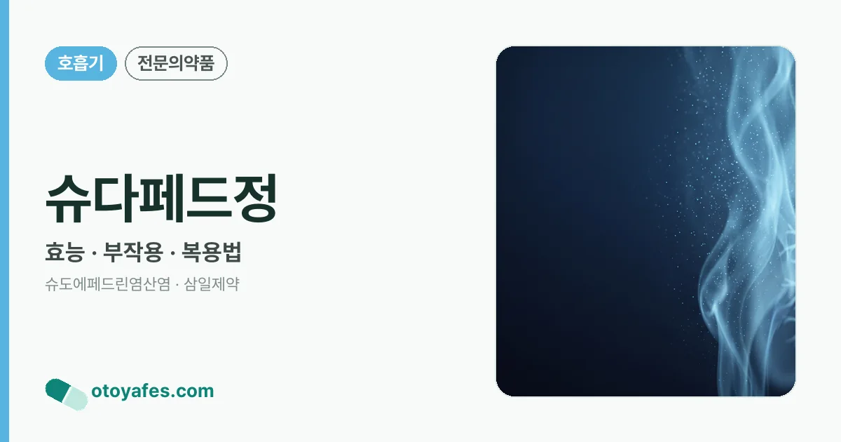 슈다페드정 정리 썸네일
