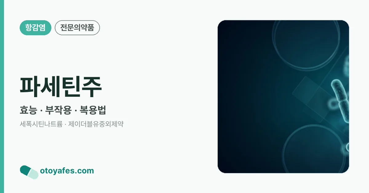 파세틴주 정리 썸네일