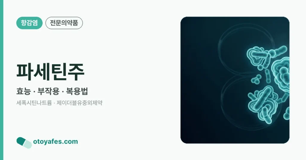 파세틴주 정리 썸네일