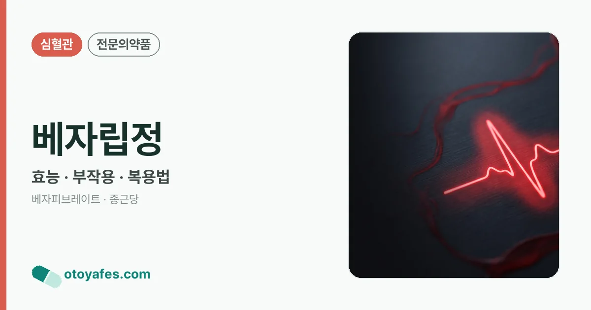 베자립정 정리 썸네일