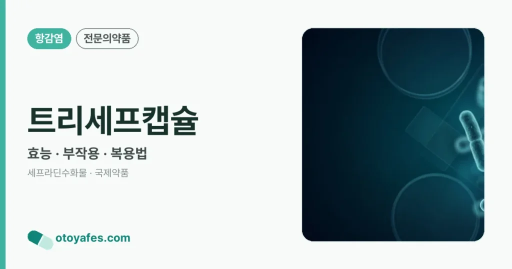 트리세프캡슐 정리 썸네일