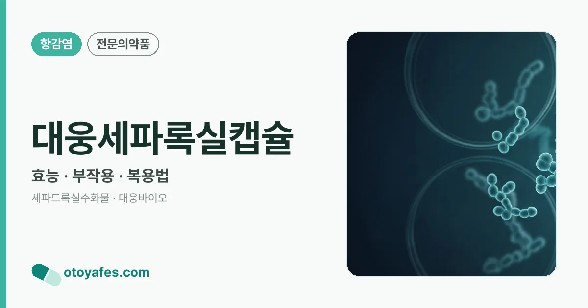 대웅세파록실캡슐 정리 썸네일
