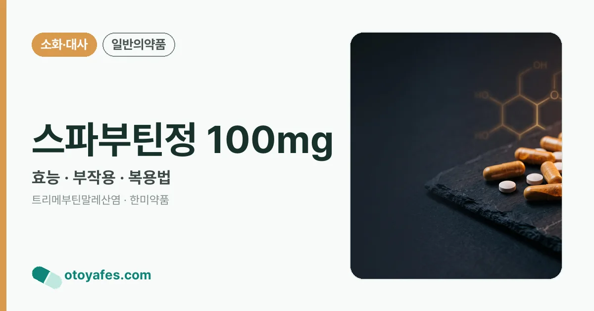 스파부틴정 100mg 정리 썸네일