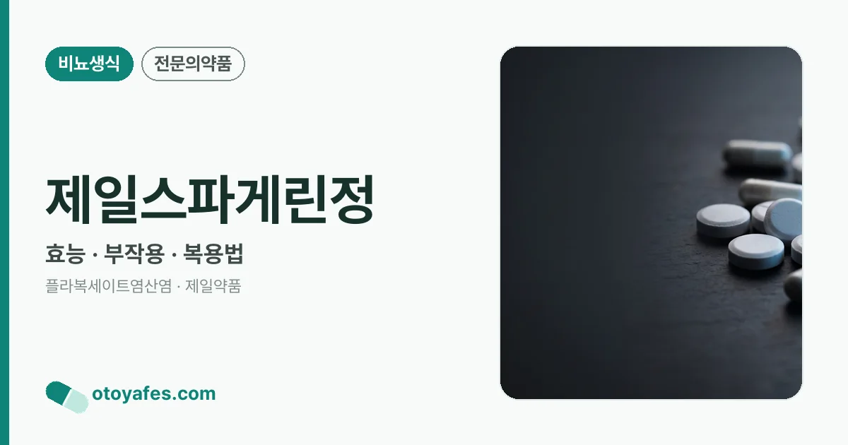 제일스파게린정 정리 썸네일
