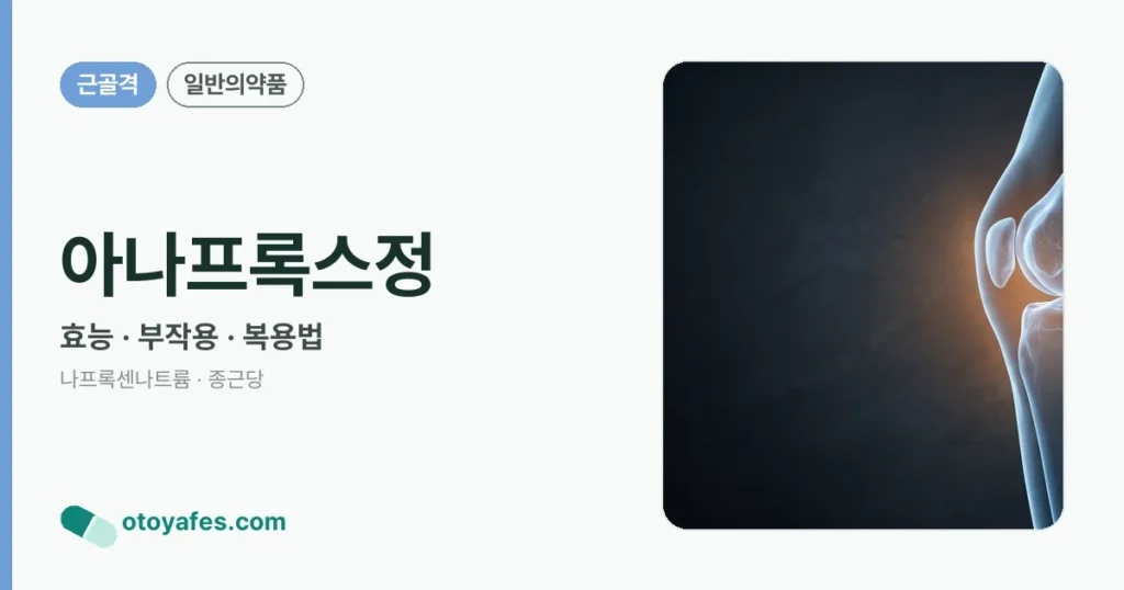 아나프록스정 정리 썸네일