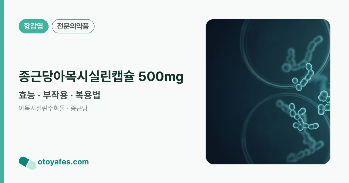 종근당아목시실린캡슐 500mg 정리 썸네일