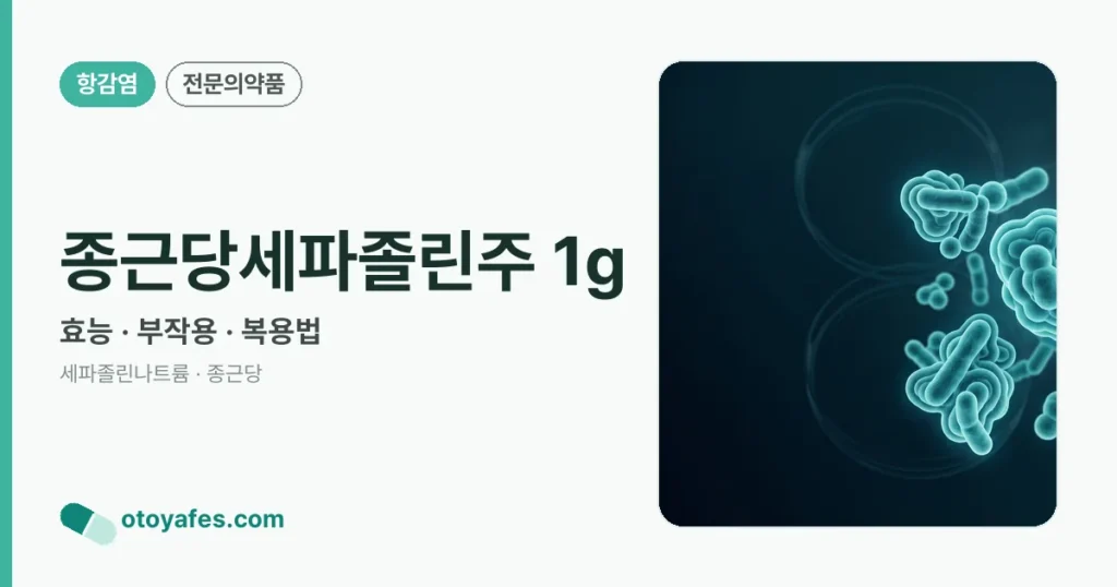종근당세파졸린주 1g 정리 썸네일