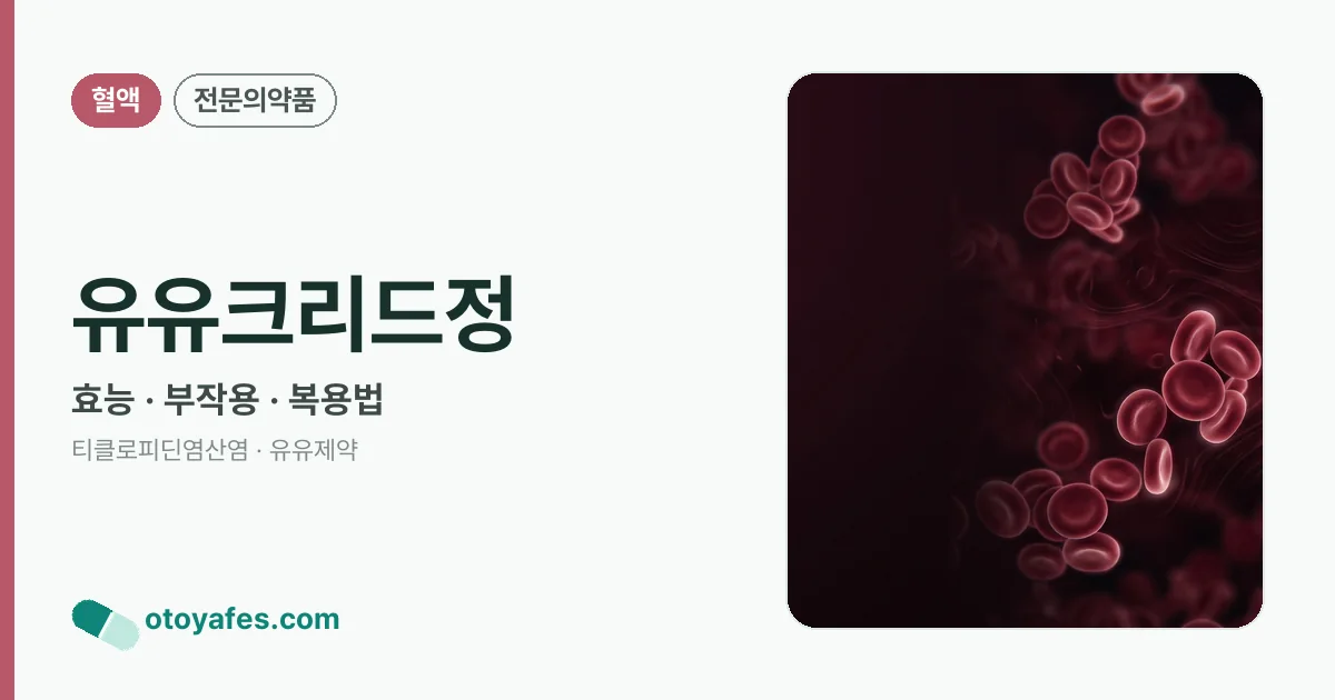 유유크리드정 정리 썸네일