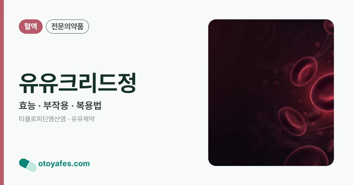 유유크리드정 정리 썸네일
