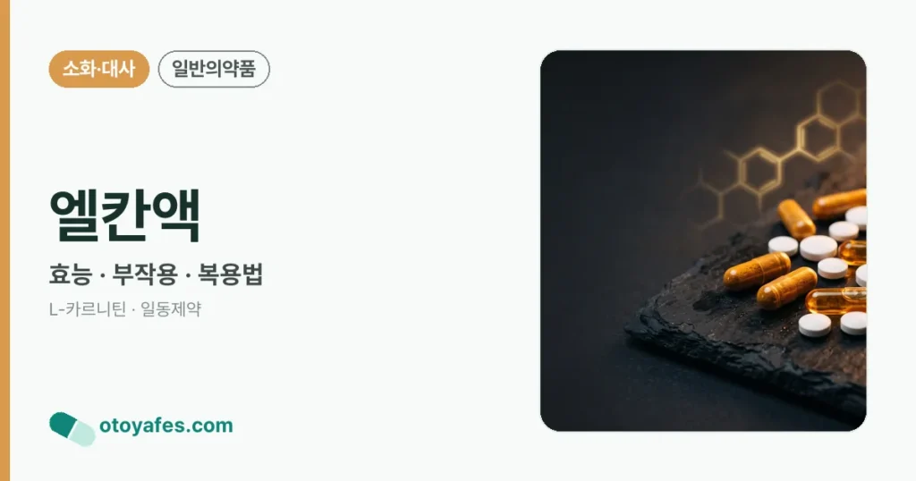엘칸액 정리 썸네일