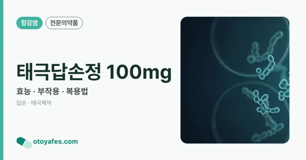 태극답손정 100mg 정리 썸네일