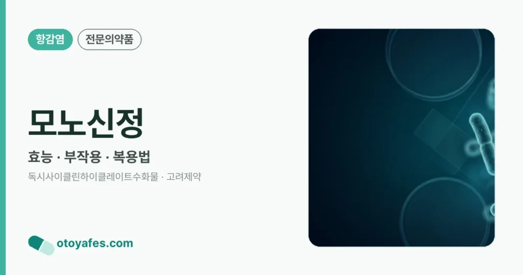 모노신정 정리 썸네일