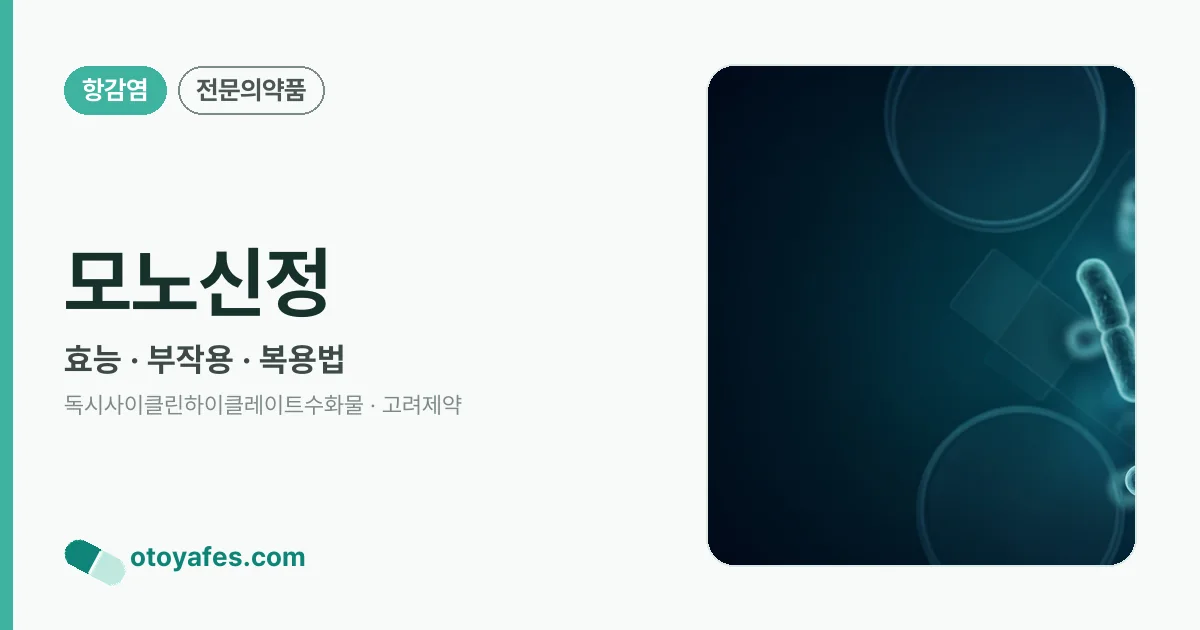 모노신정 정리 썸네일
