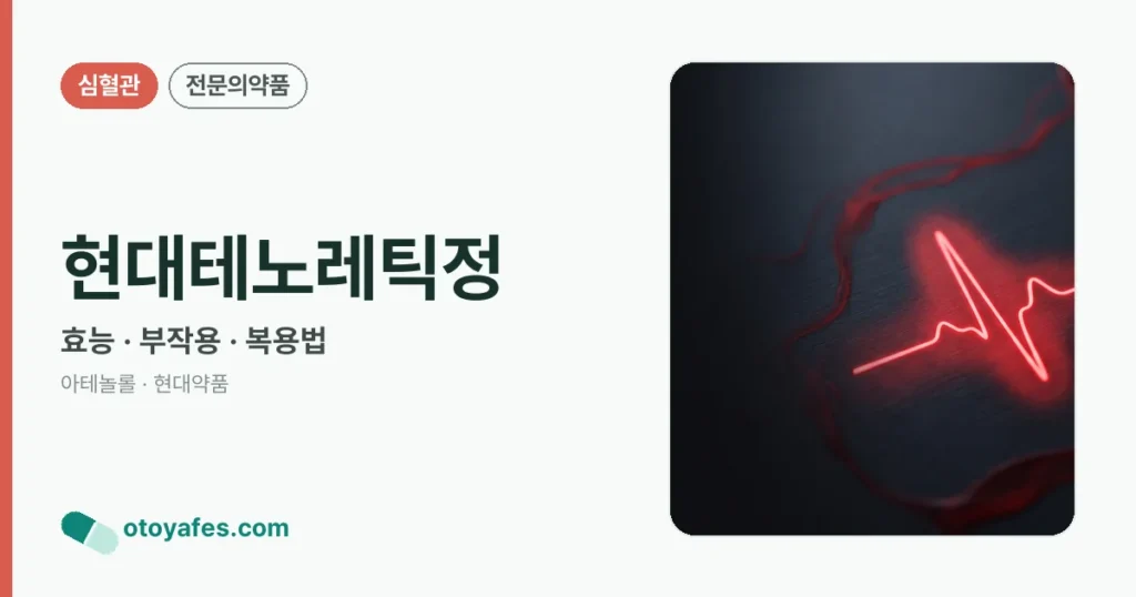 현대테노레틱정 정리 썸네일