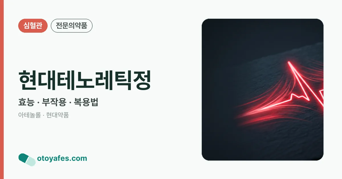 현대테노레틱정 정리 썸네일